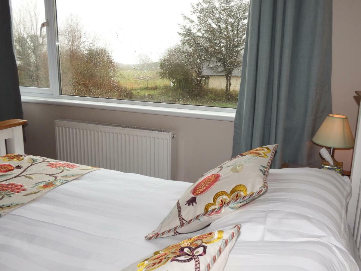 Ty Helyg Bed & Breakfast Saint David’s Eksteriør bilde
